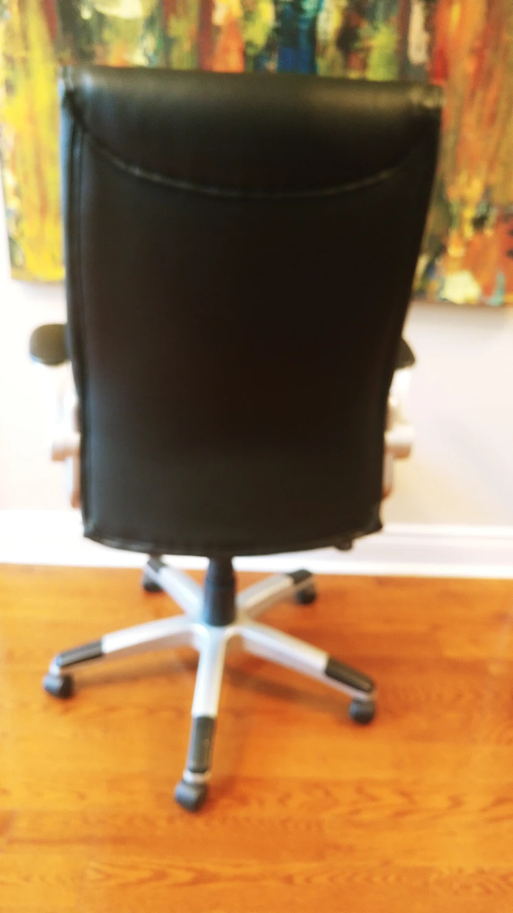 free. high back chair. adjustable everything smoke/pet free - photo 4