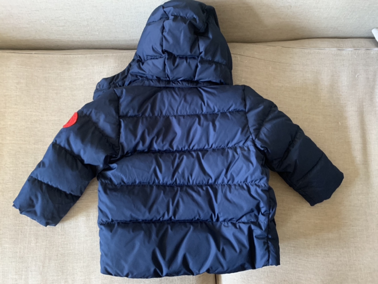 New Baby gap toddler jacket - 3 T image indicator(2)