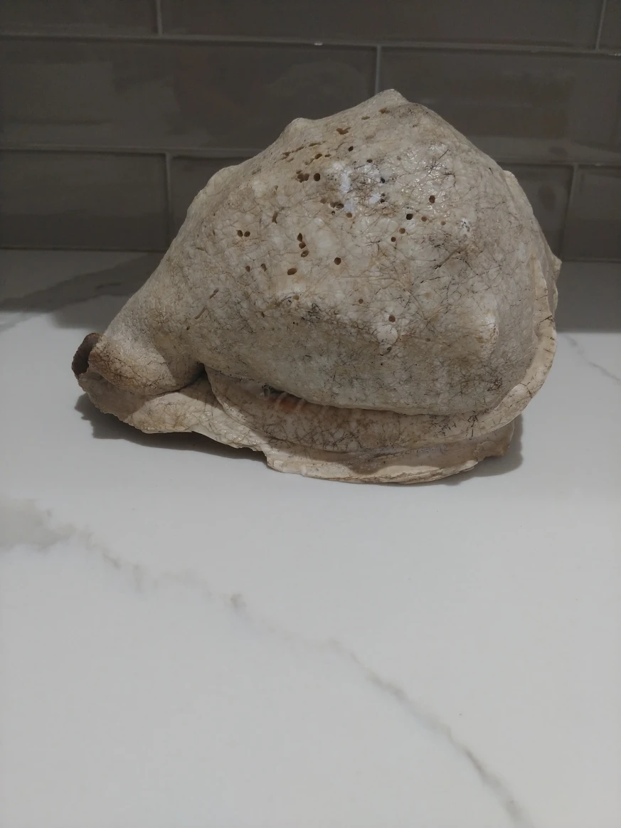 large king helmet shell. - photo 4