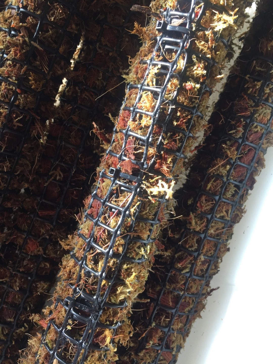 Forest Moss Poles for Plants - photo 3
