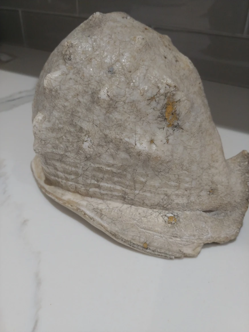 large king helmet shell. - photo 5