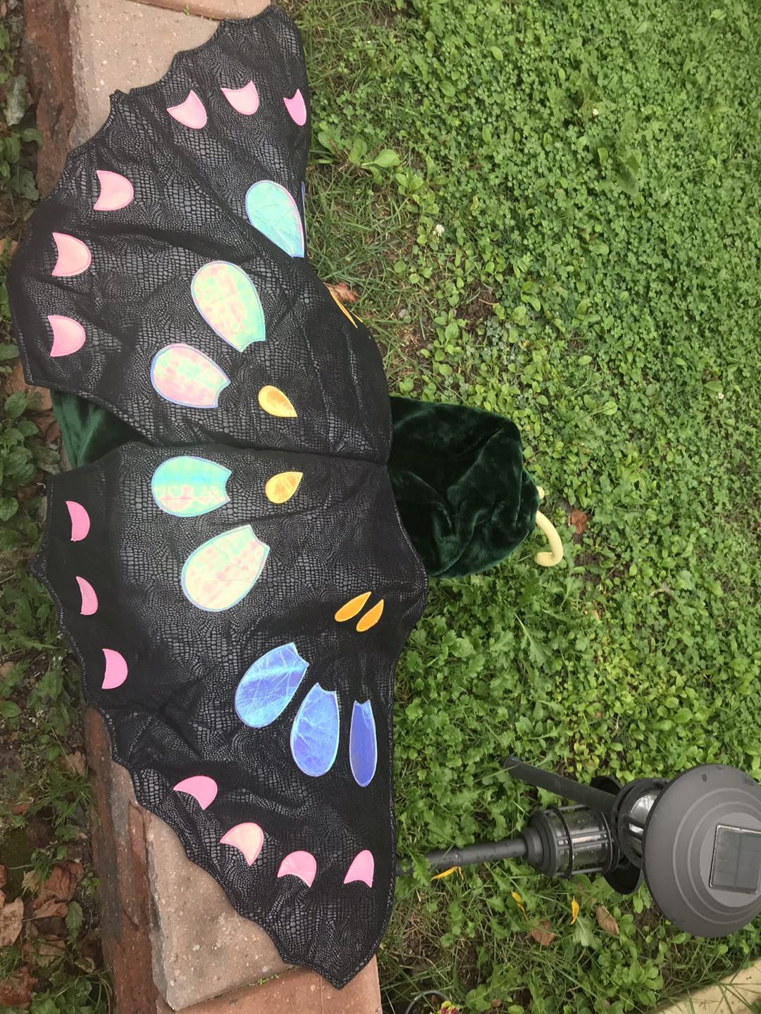 Moth / Butterfly Costume image indicator(2)