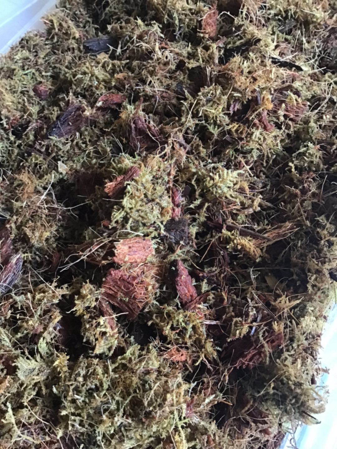 Forest Moss Poles for Plants - photo 5