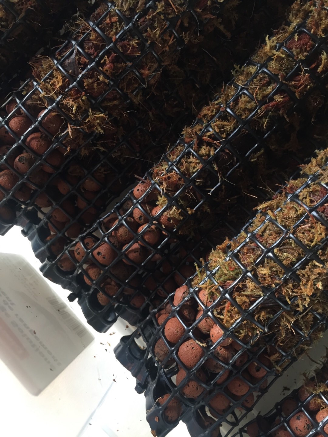 Forest Moss Poles for Plants - photo 2