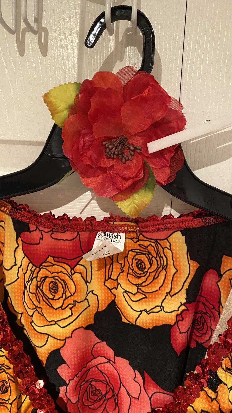 Dance/Halloween Costume image indicator(6)