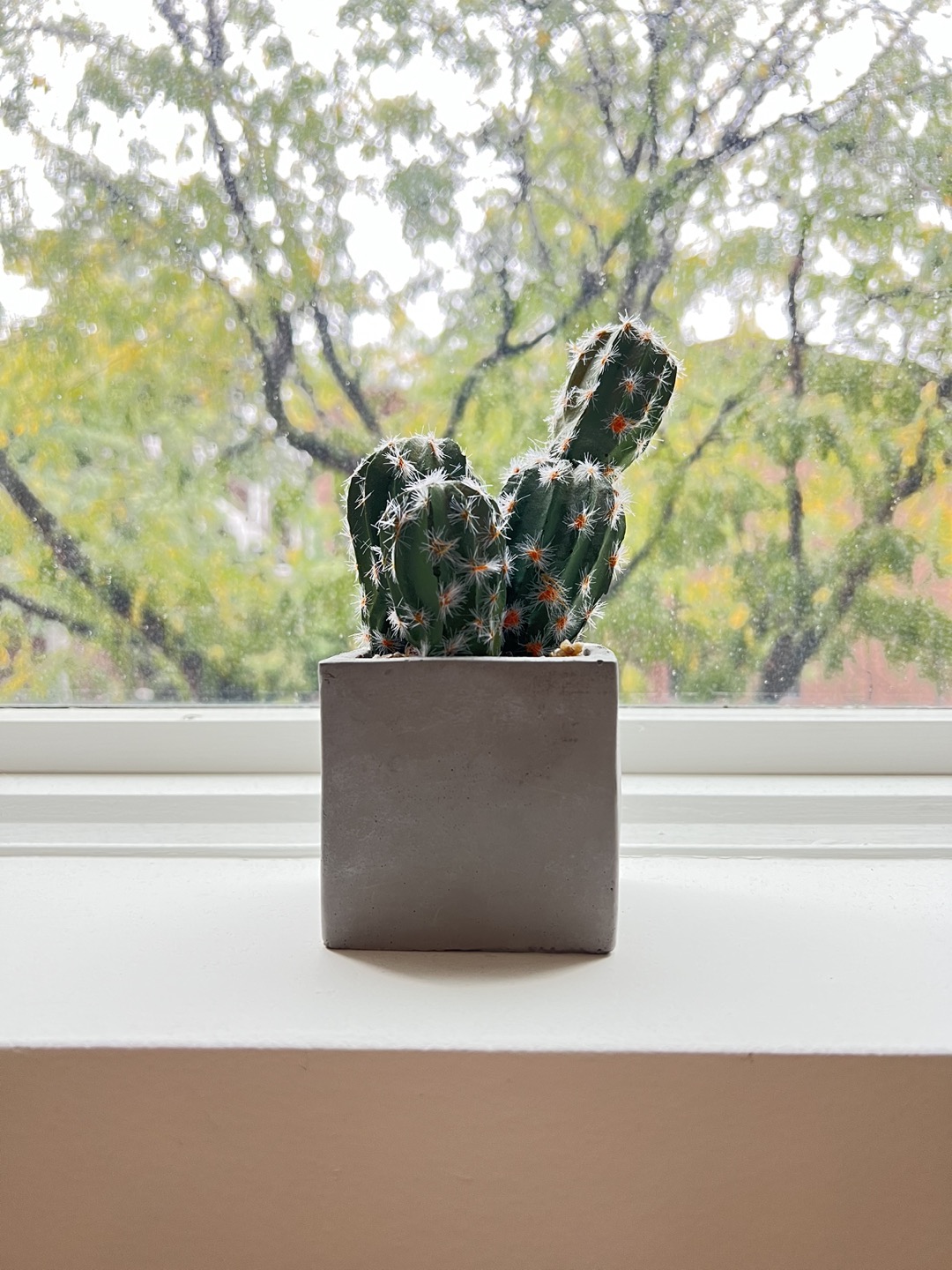 Minimalist Style 6” Concrete Potted Faux Cactus - photo 2