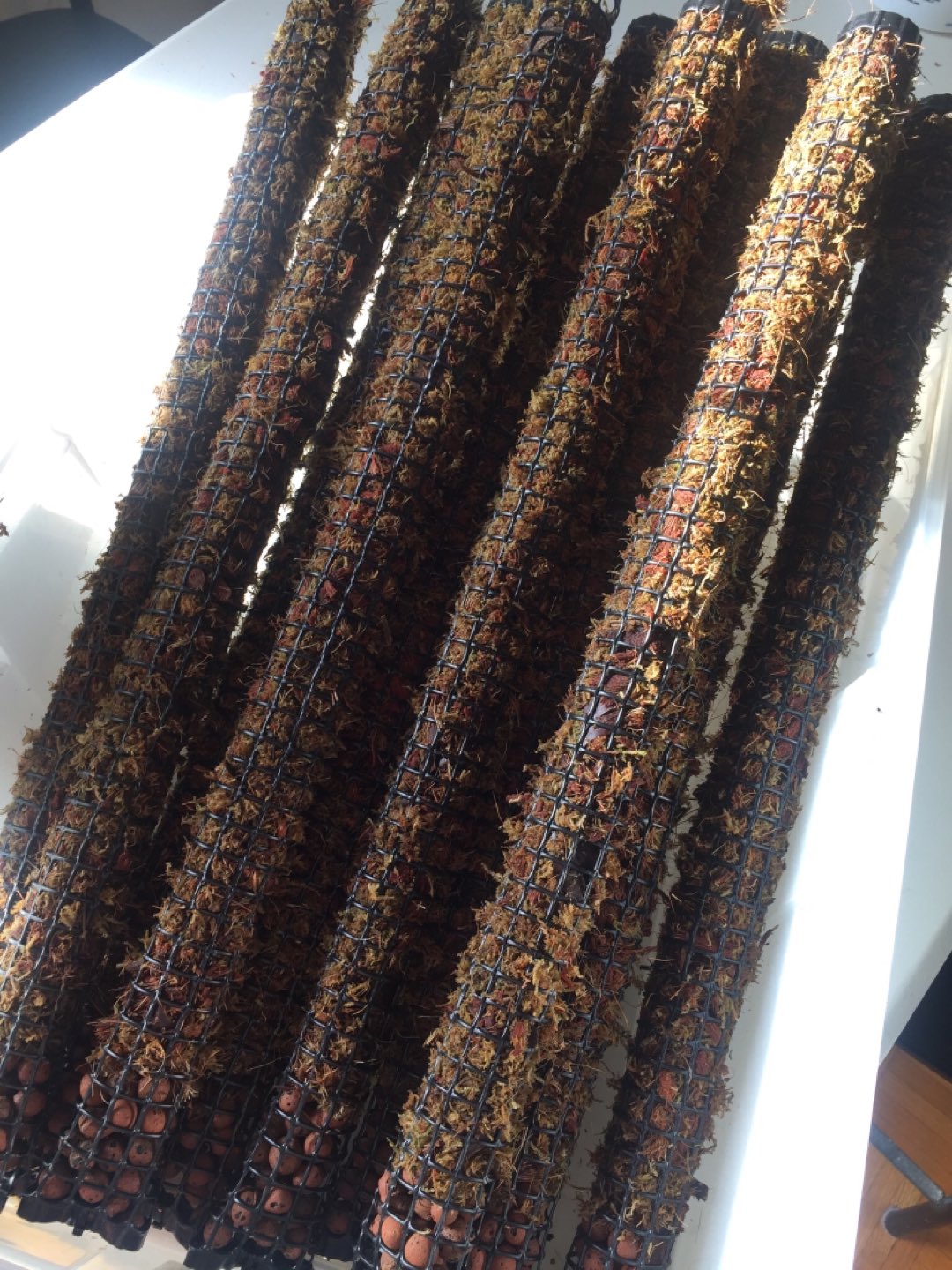 Forest Moss Poles for Plants