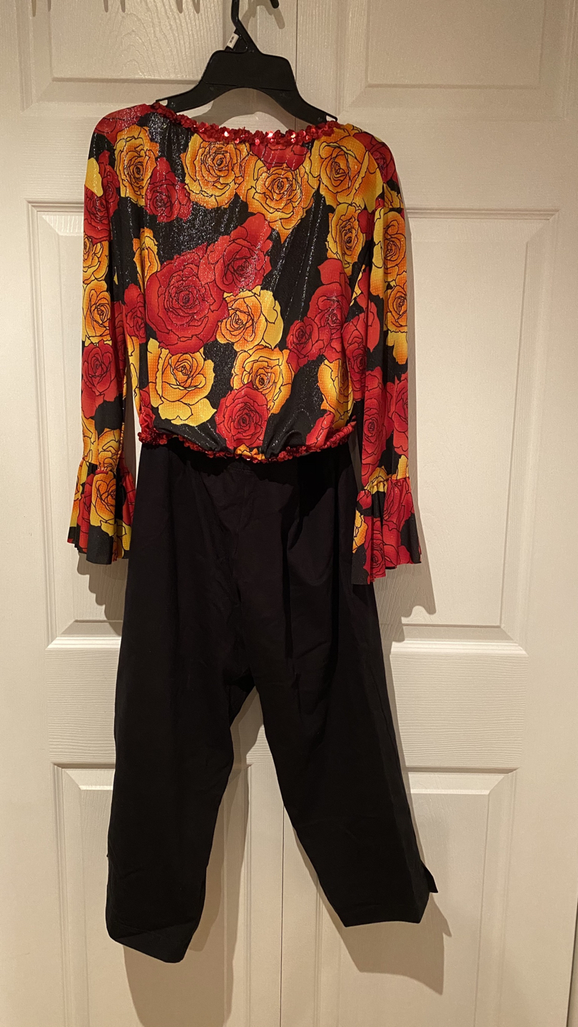 Dance/Halloween Costume image indicator(2)