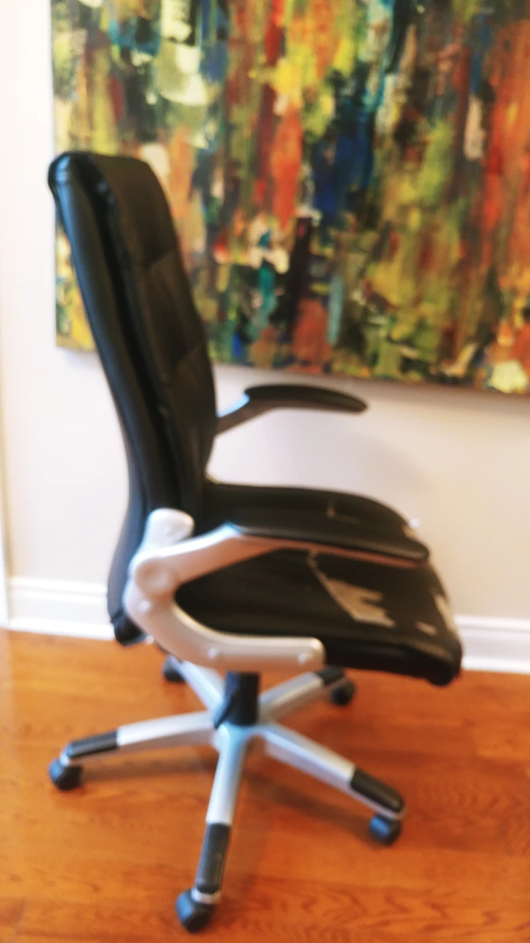 free. high back chair. adjustable everything smoke/pet free - photo 2