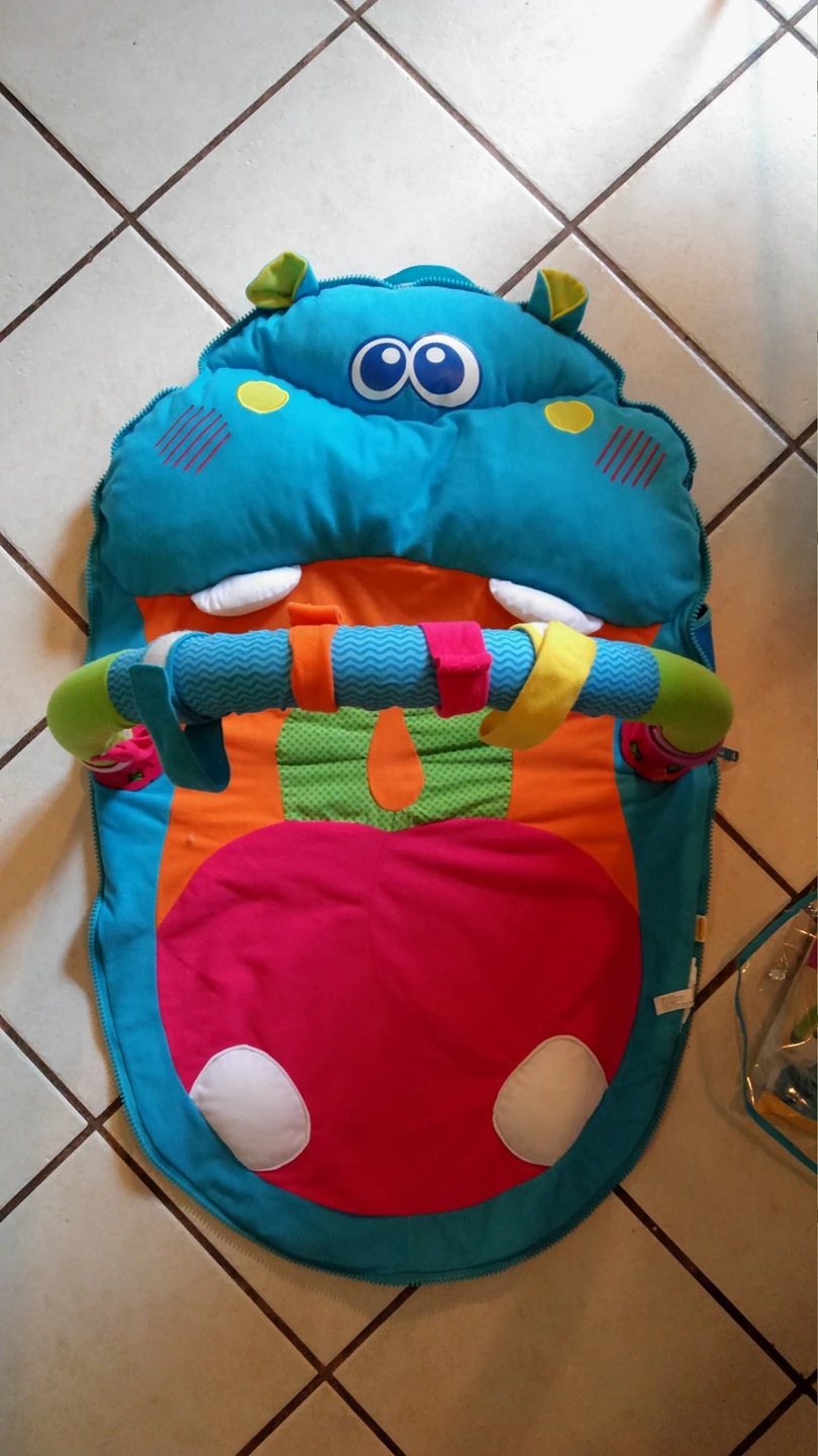 Happy Hippo Gym playmat