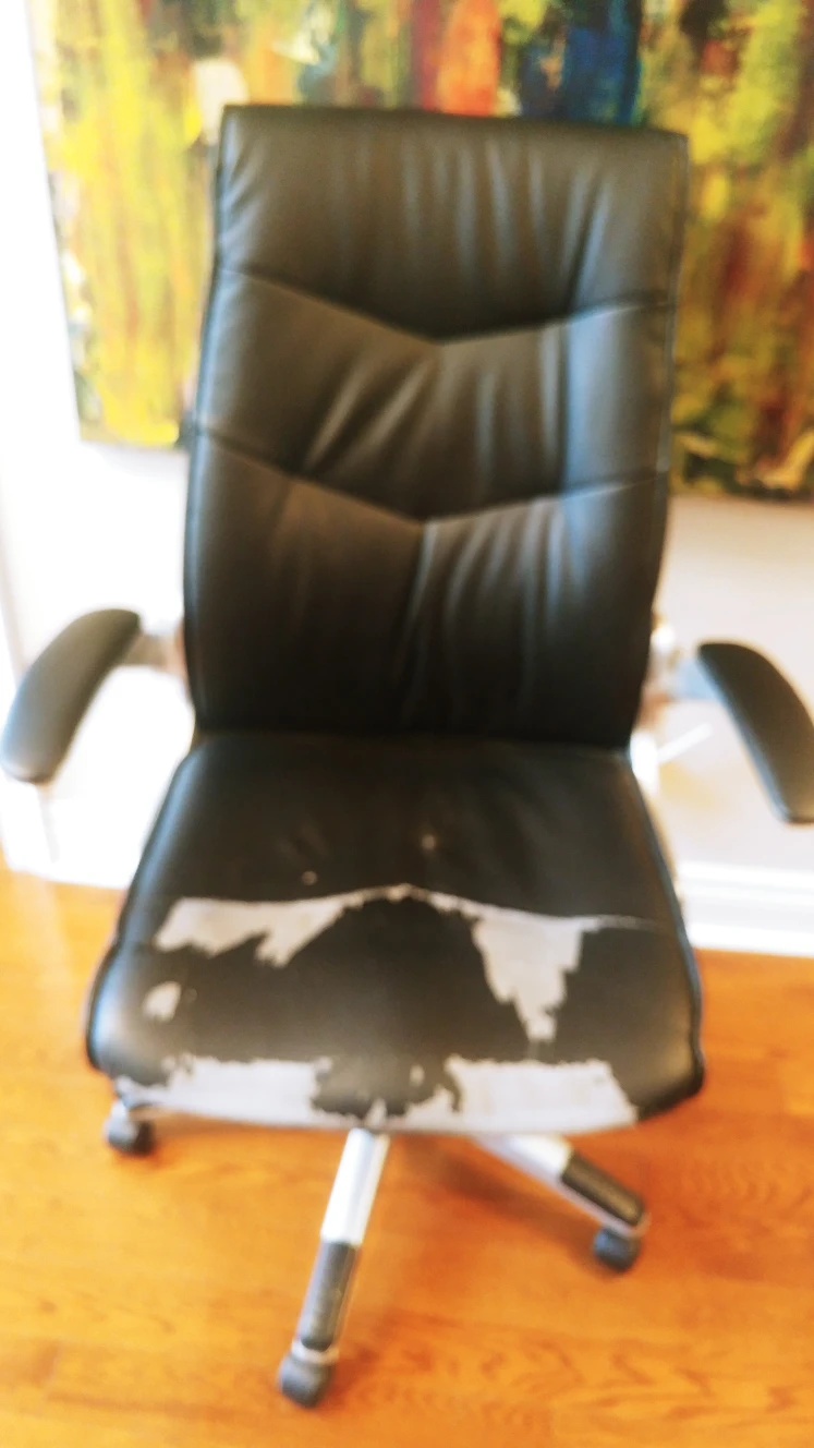 free. high back chair. adjustable everything smoke/pet free