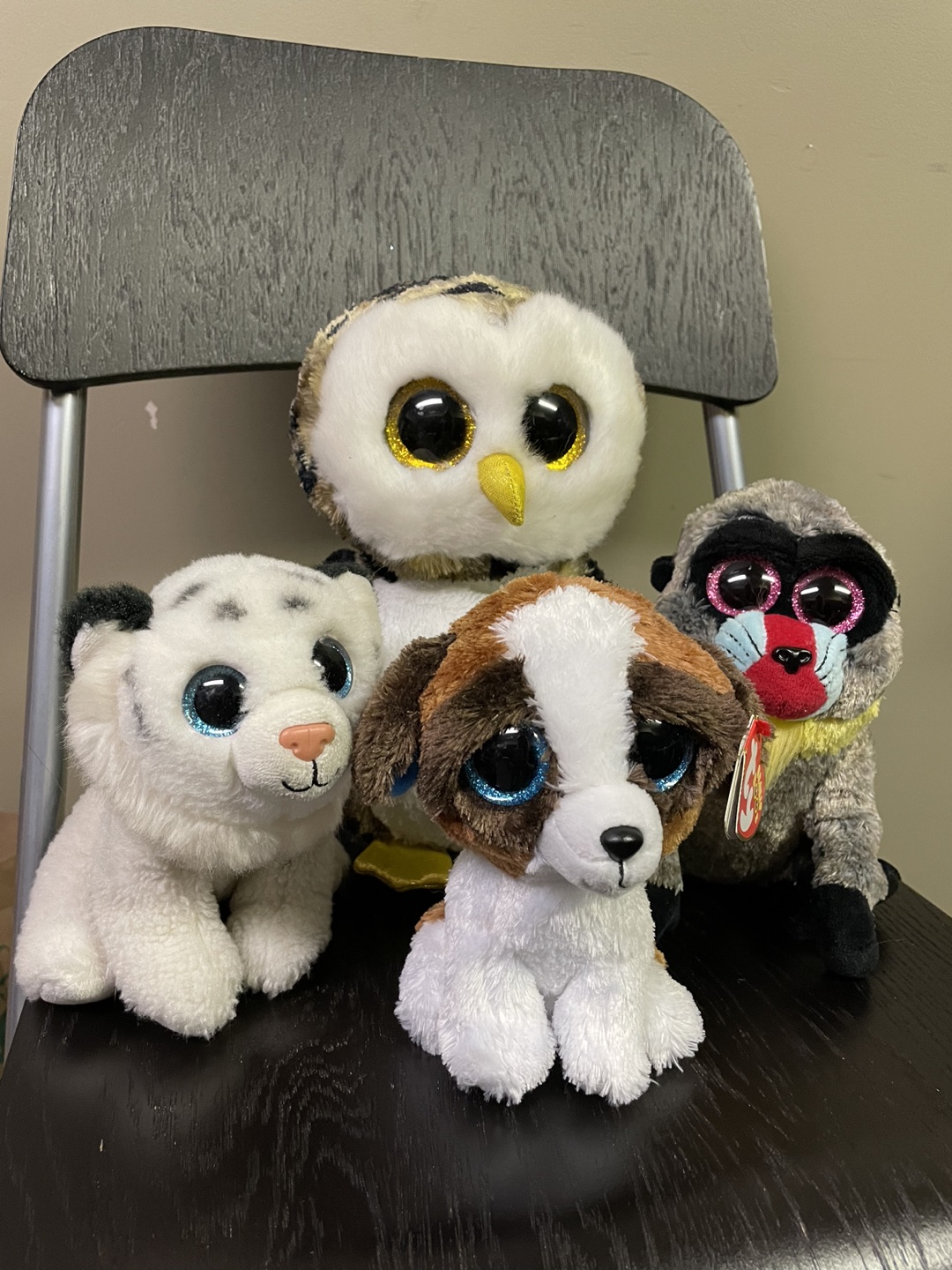 Assorted TY Beanie stuffed animals #willowdale