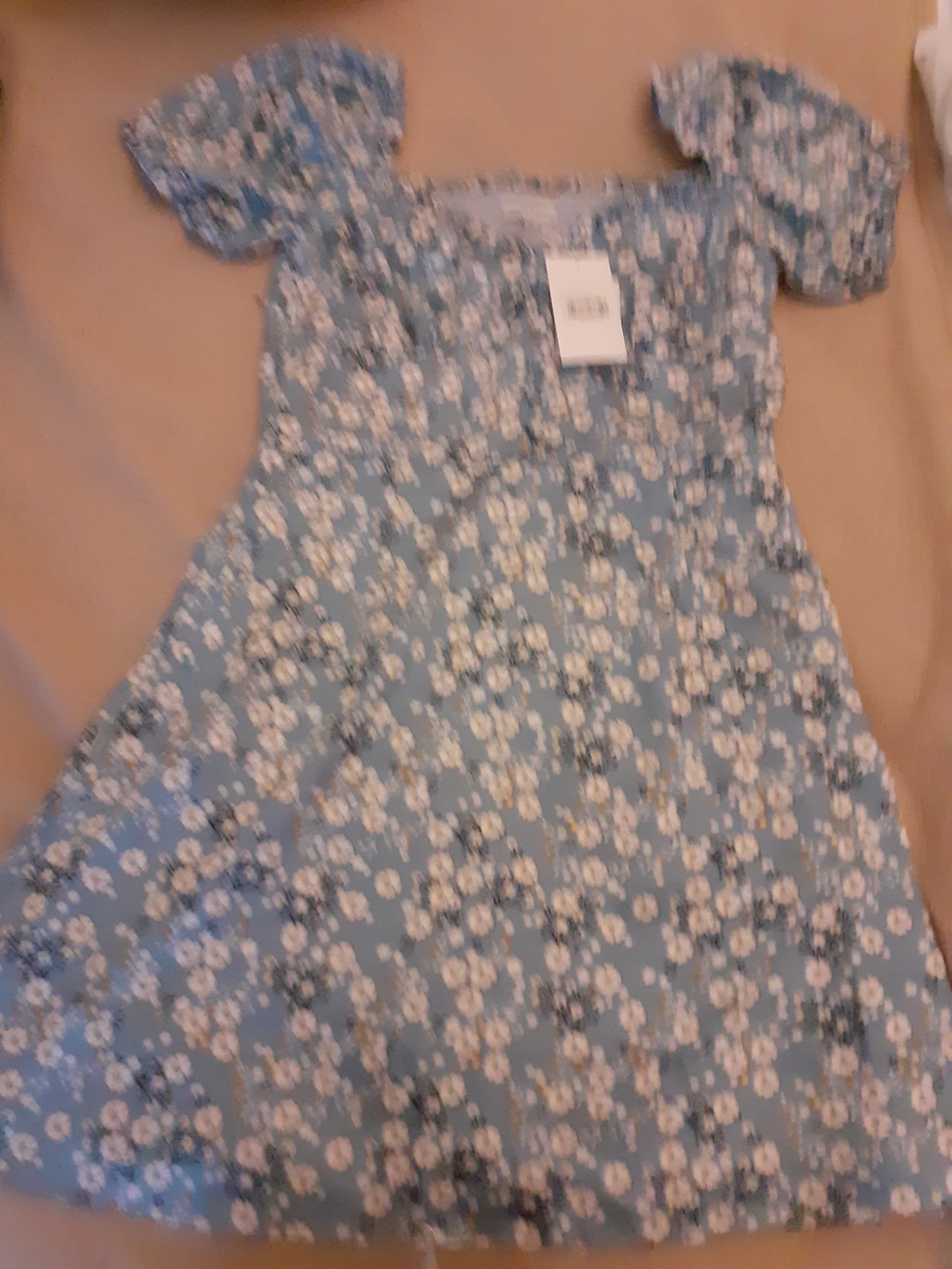 petite studio dress thumbnail