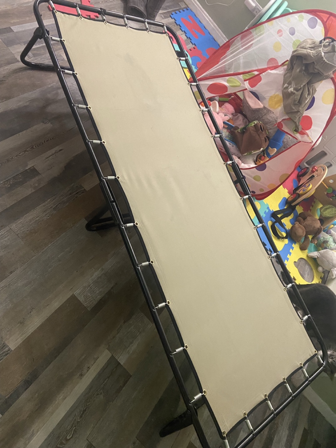 Folding rollaway guest bed