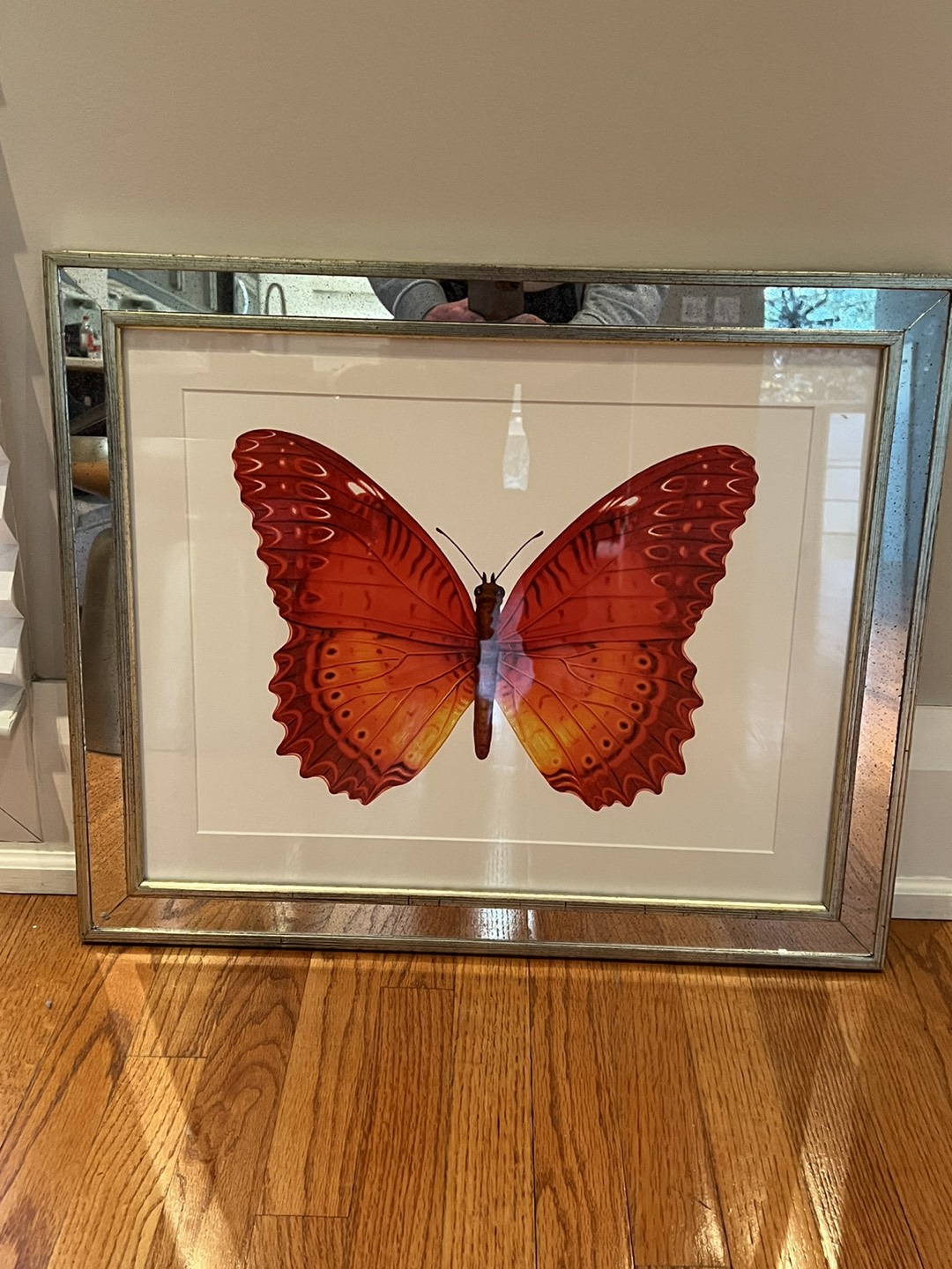 Buttery mirror frame Print