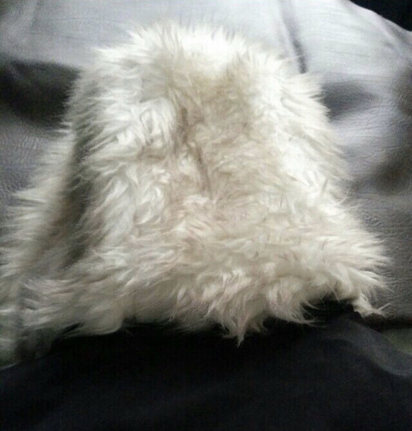 Authentic Buffalo women’s Winter Jacket image indicator(3)