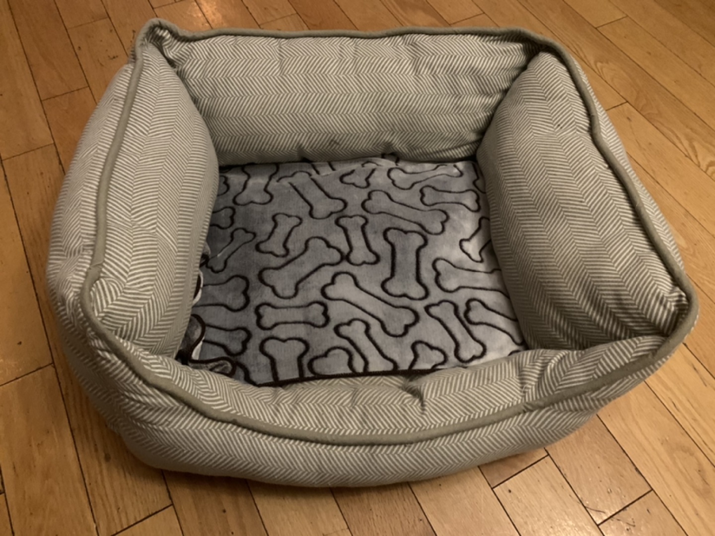 Cat or dog bed. Free thumbnail