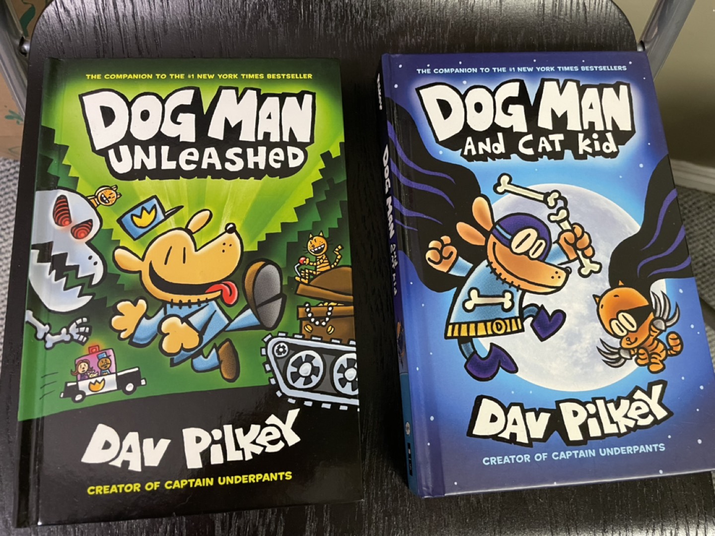 Dog man books #willowdale
