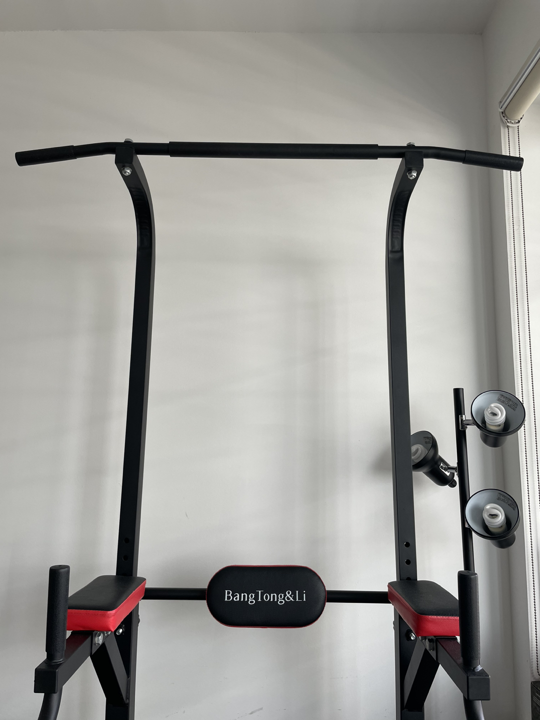 Pull Up & Dip Station - Home Gym Station - photo 2