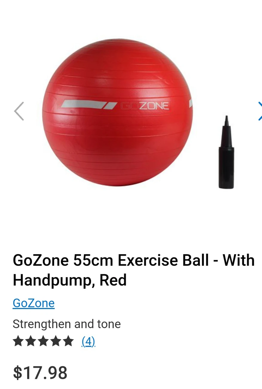 GOZONE Exercise Ball - New - photo 3