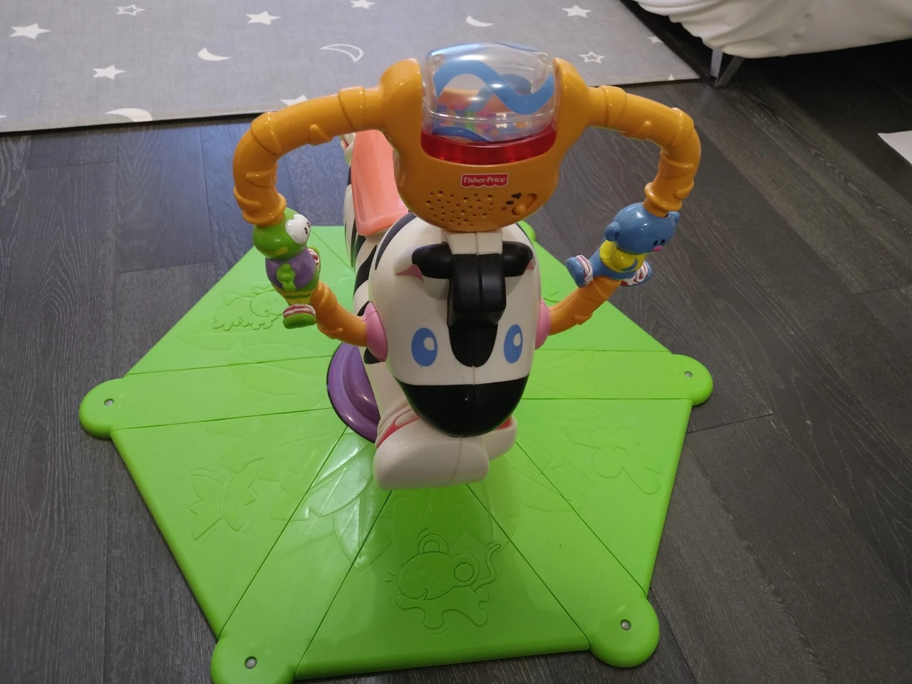 Zebra bounce and spin thumbnail