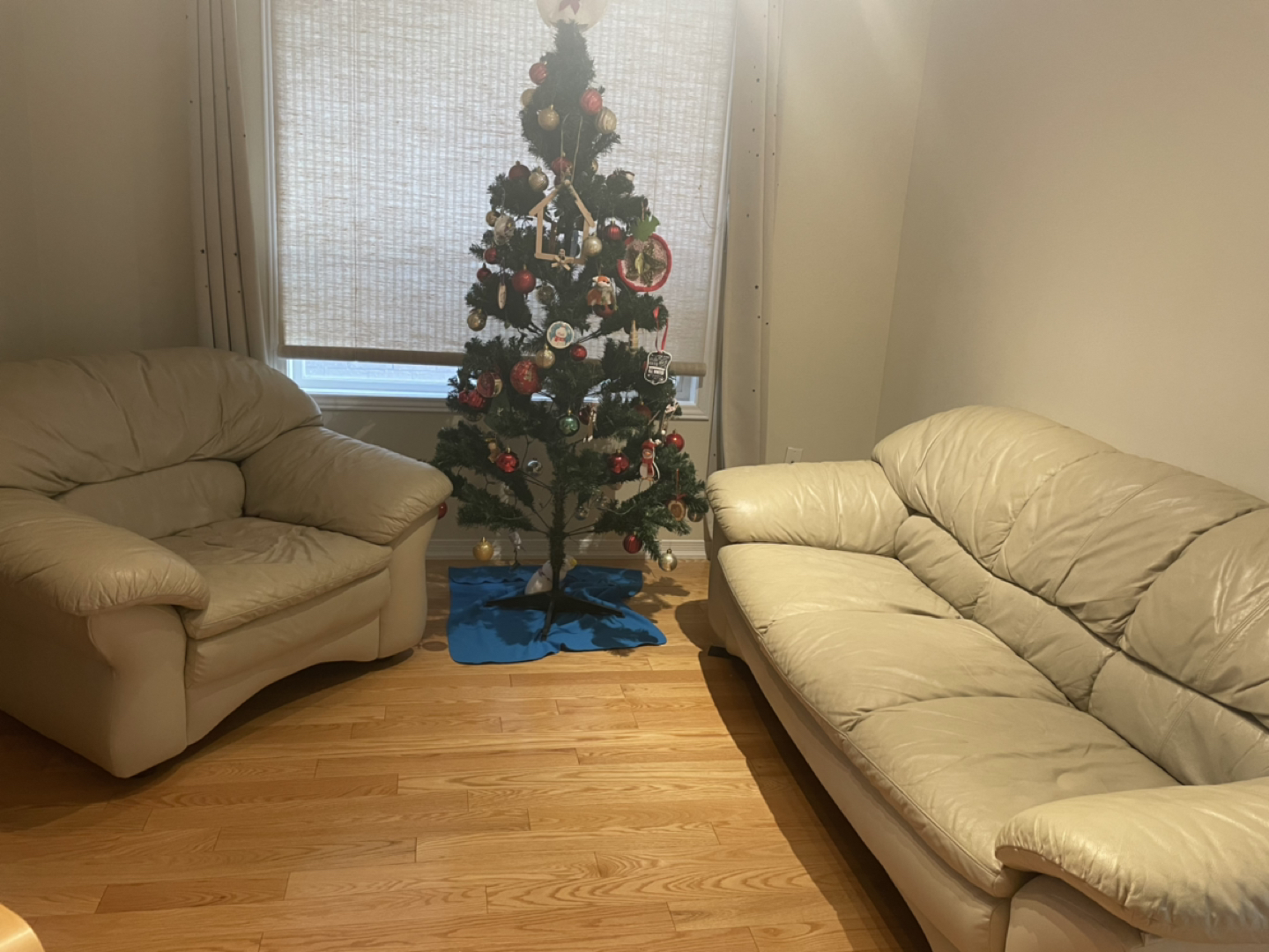 🎉3 seat sofa & chair - photo 3
