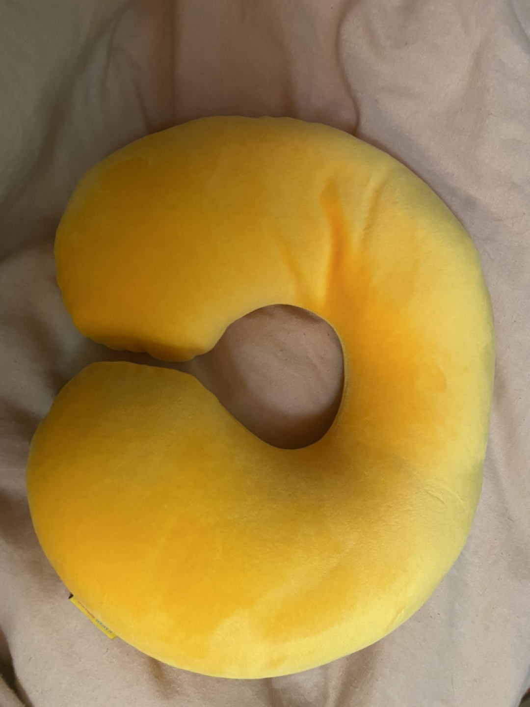 라이언 목배게 image indicator(2)