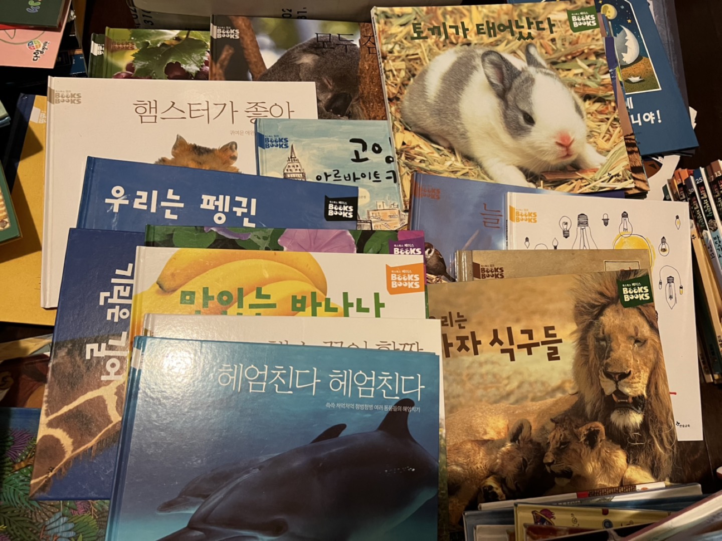 한솔 북스북스 시리즈 thumbnail