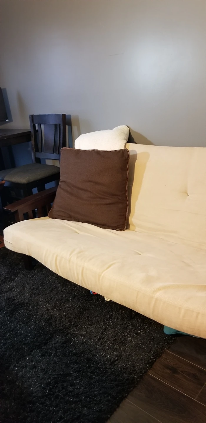 Beautiful futon for sale image indicator(2)