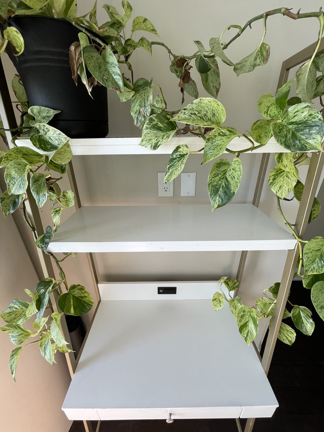 Desk Shelving Unit with Golden Metal Frame - photo 4