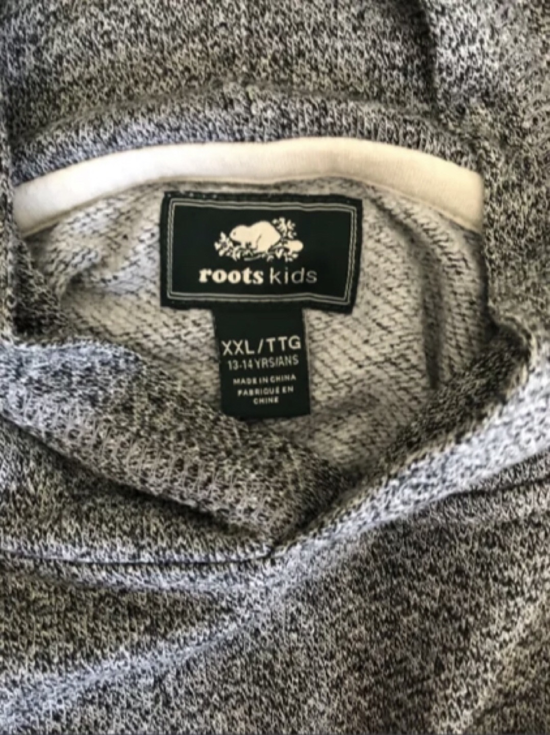 Kids Roots Hoodie image indicator(4)