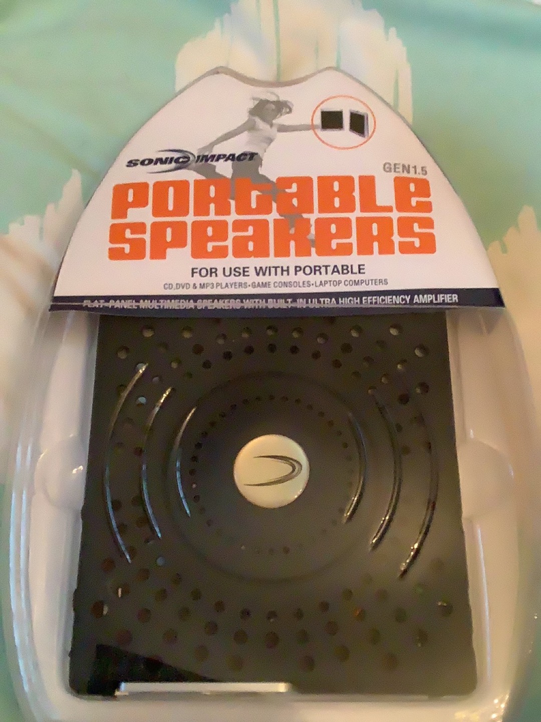 Portable Speaker system