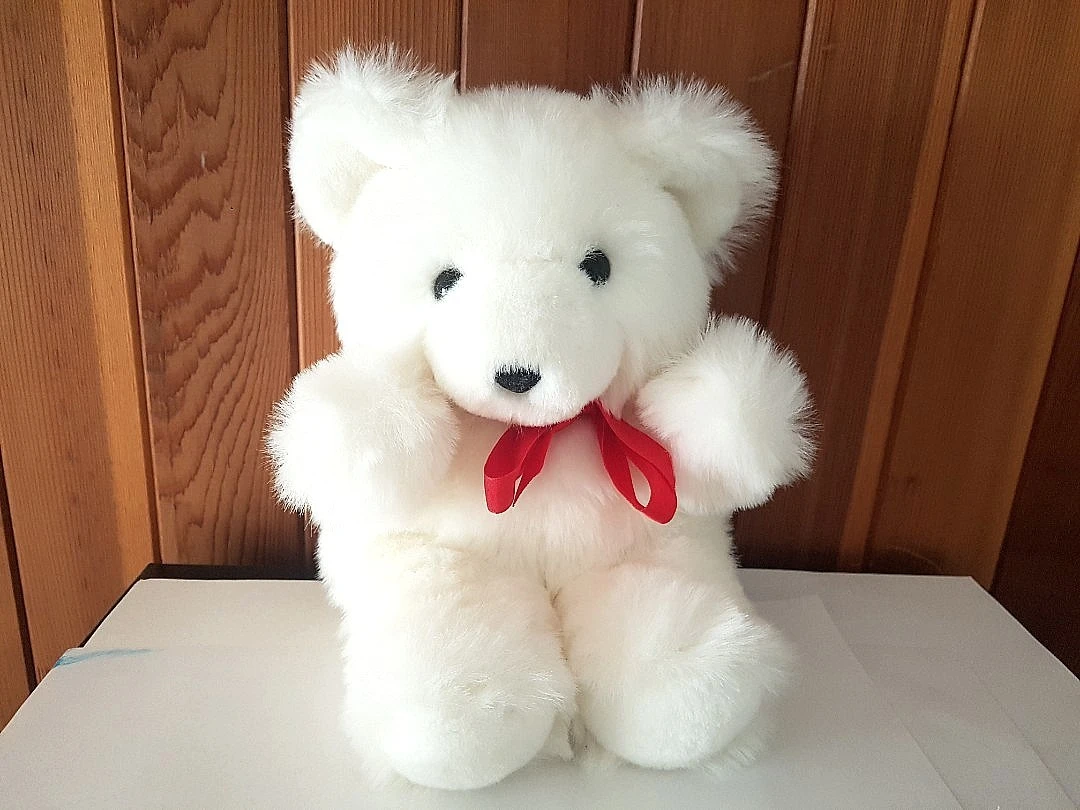NEW white teddy bear