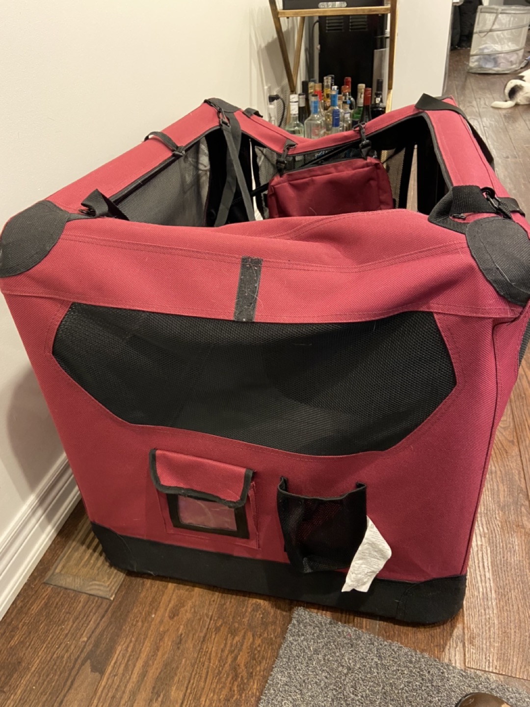 Collapsible dog crate - photo 4
