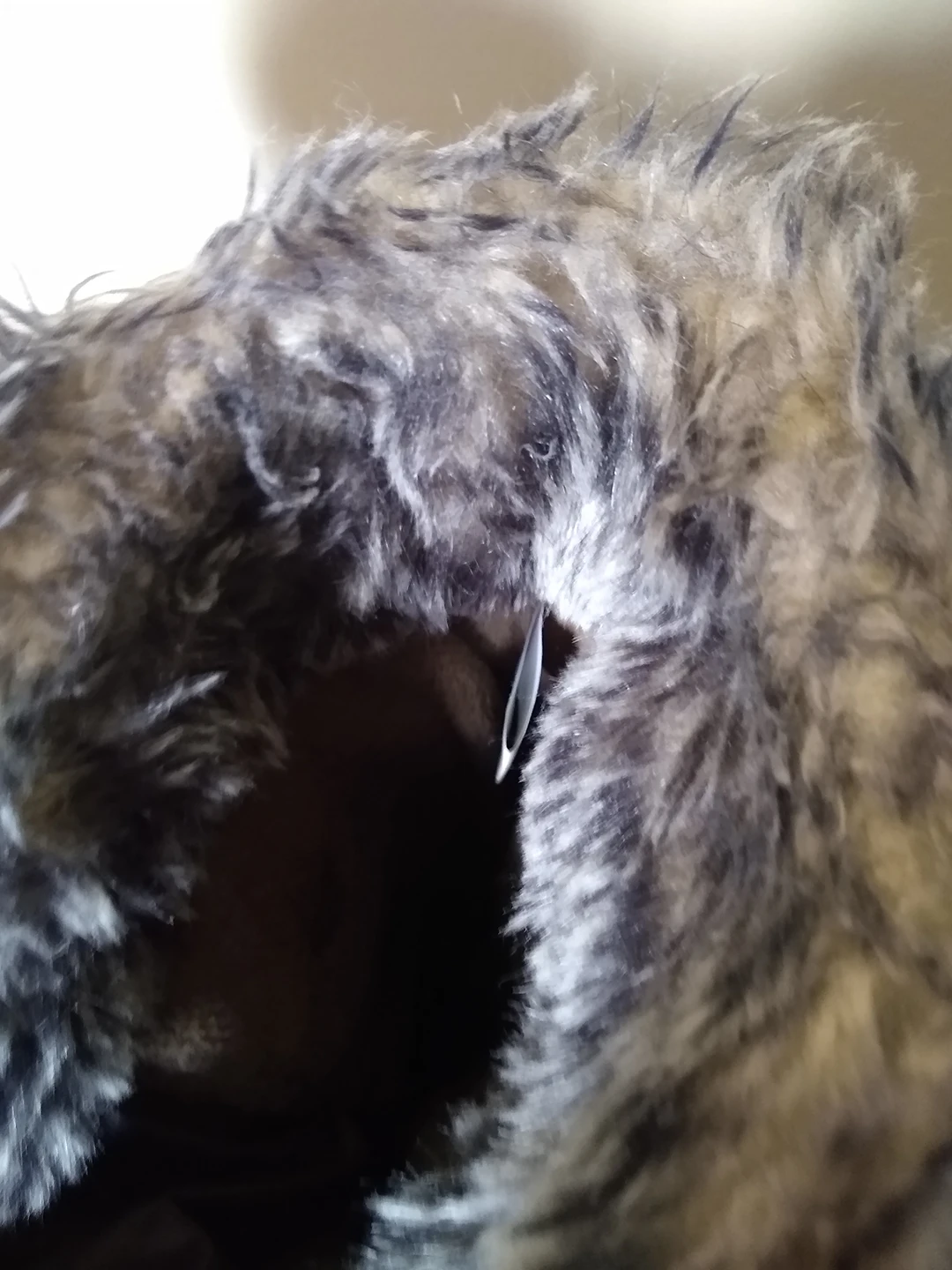 COUGAR Size 8 Winter Boots image indicator(4)