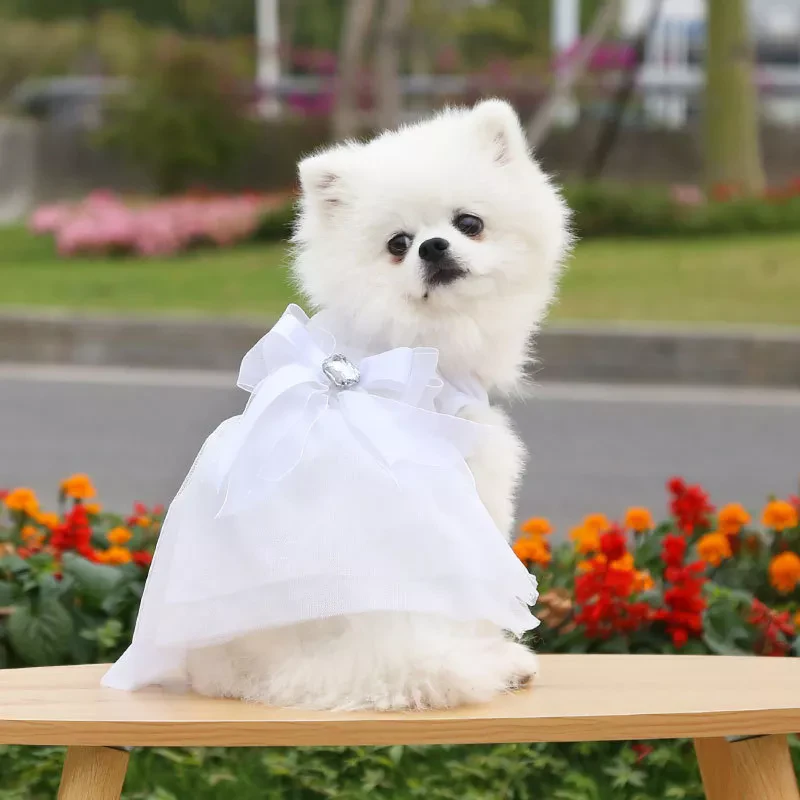 Small Dog Dress thumbnail
