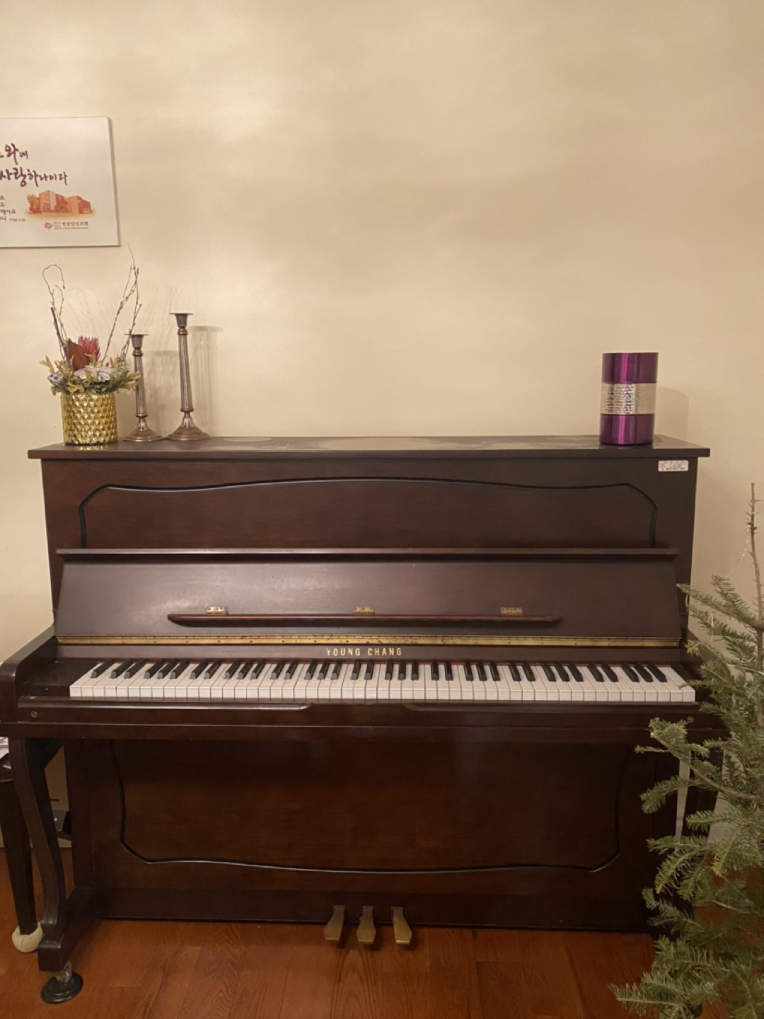YOUNG CHANG Piano