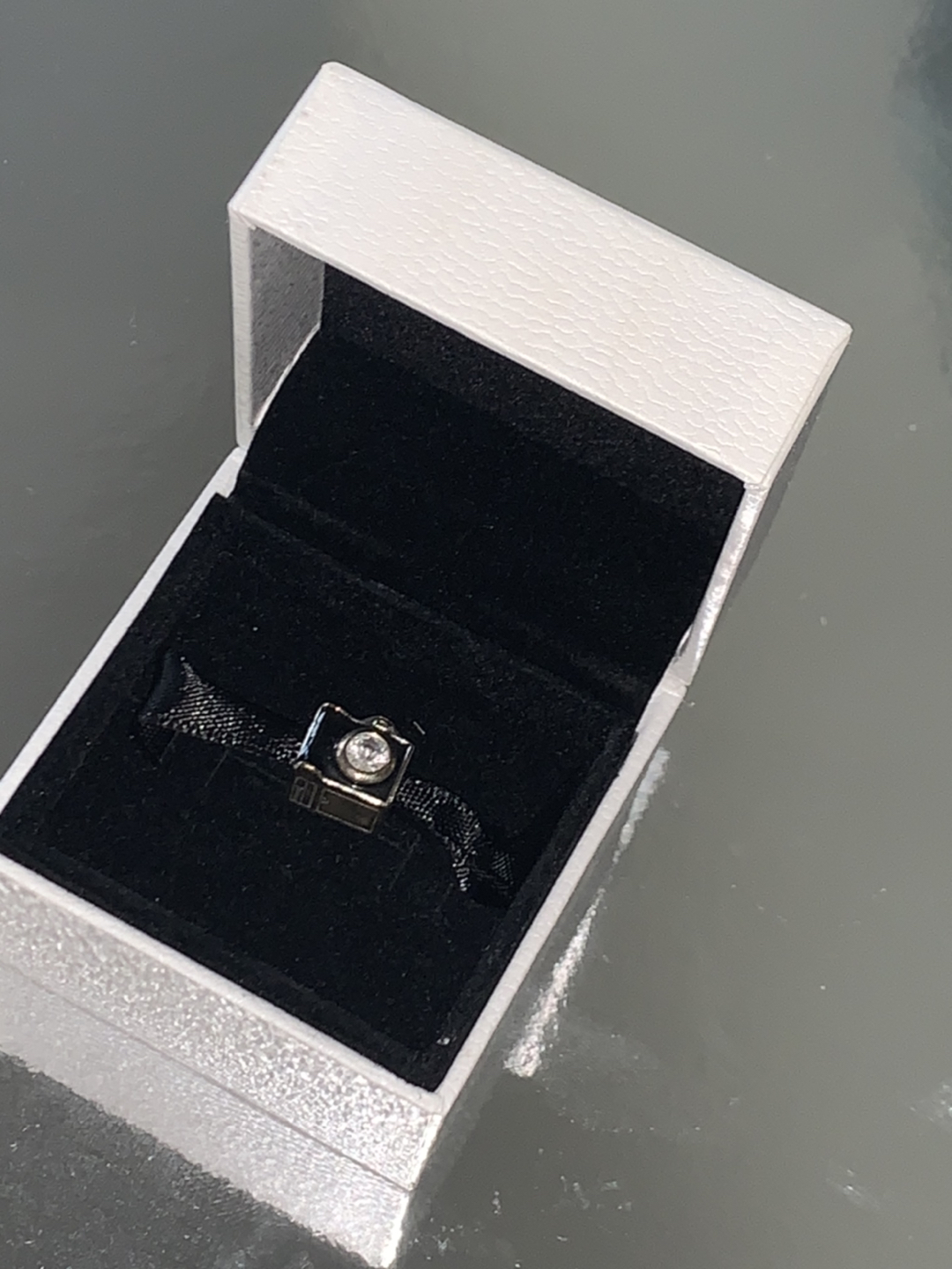 Pandora camera charm