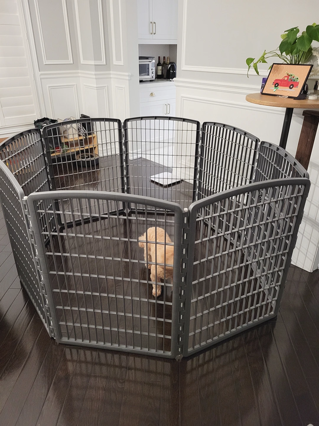 dog gate with door thumbnail