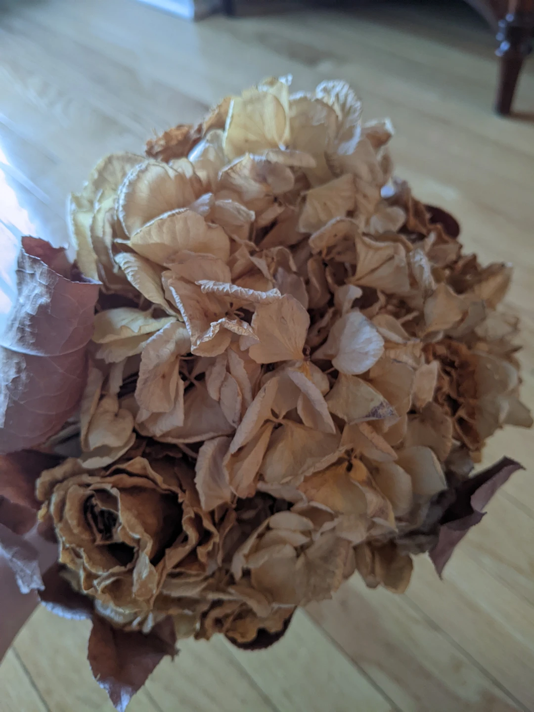 Dried bouquet/ flowers thumbnail