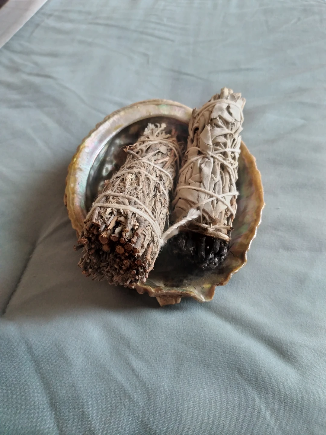 Small Conch Shell + Sage/White Sage Smudges thumbnail