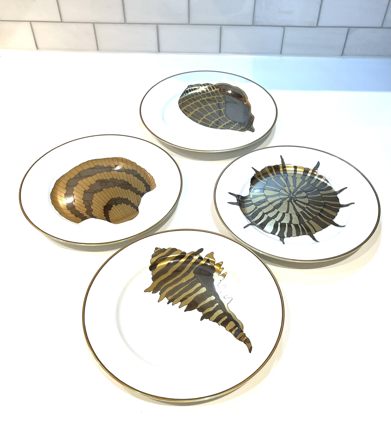 FITZ & FLOYD Coquilles combinees set of 12 plates image indicator(2)