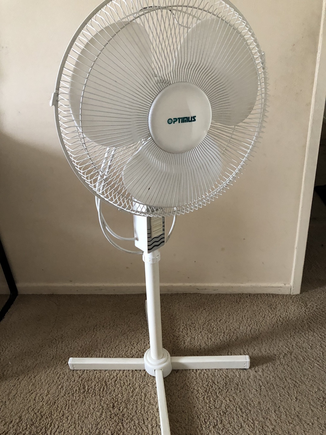 Pedestal fan by Optimus