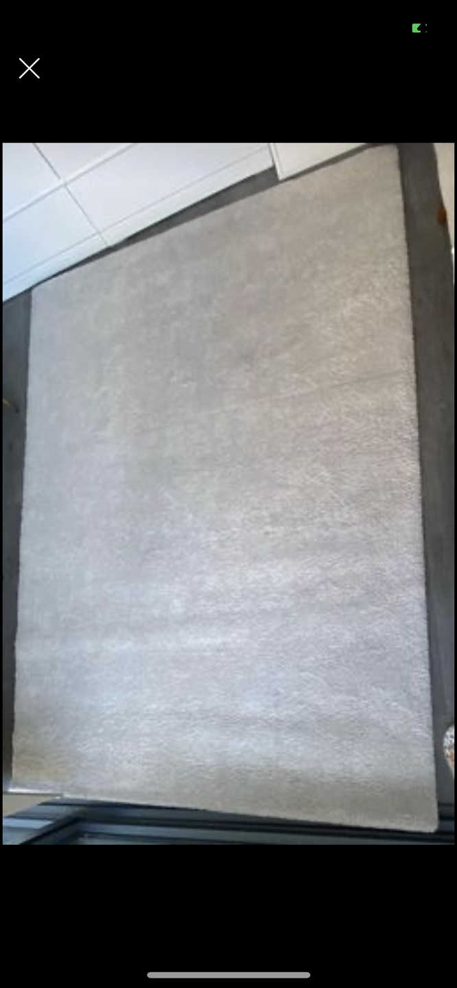 Area rug - photo 2