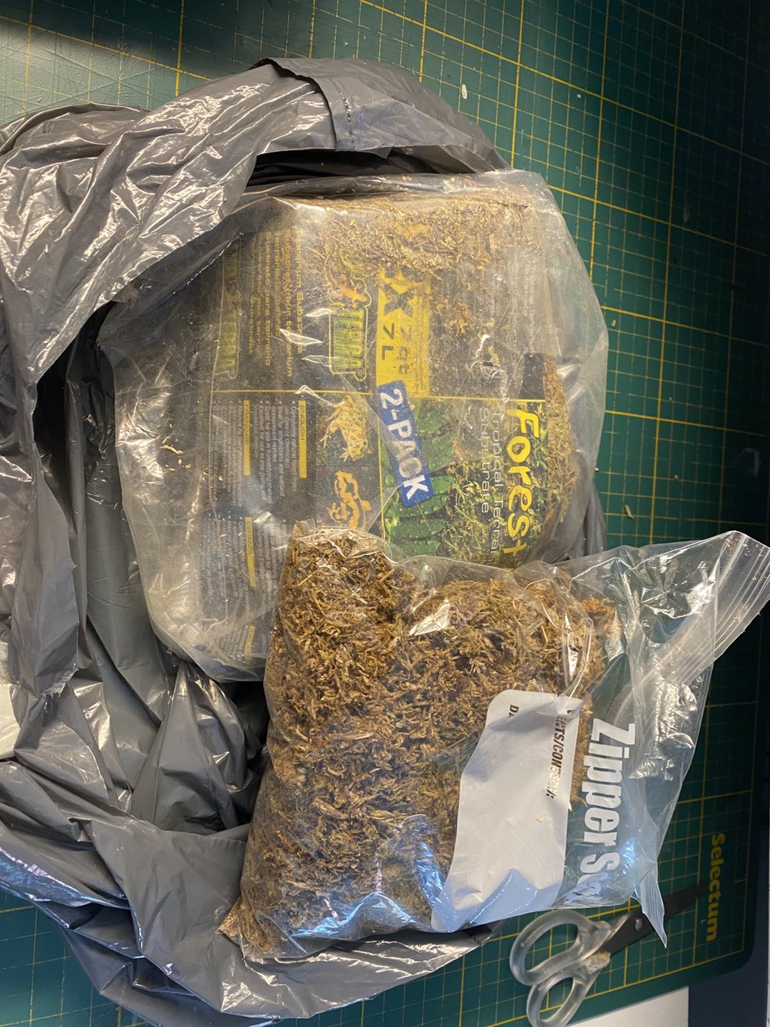 Free sphagnum moss for plants or pets #freecycle thumbnail