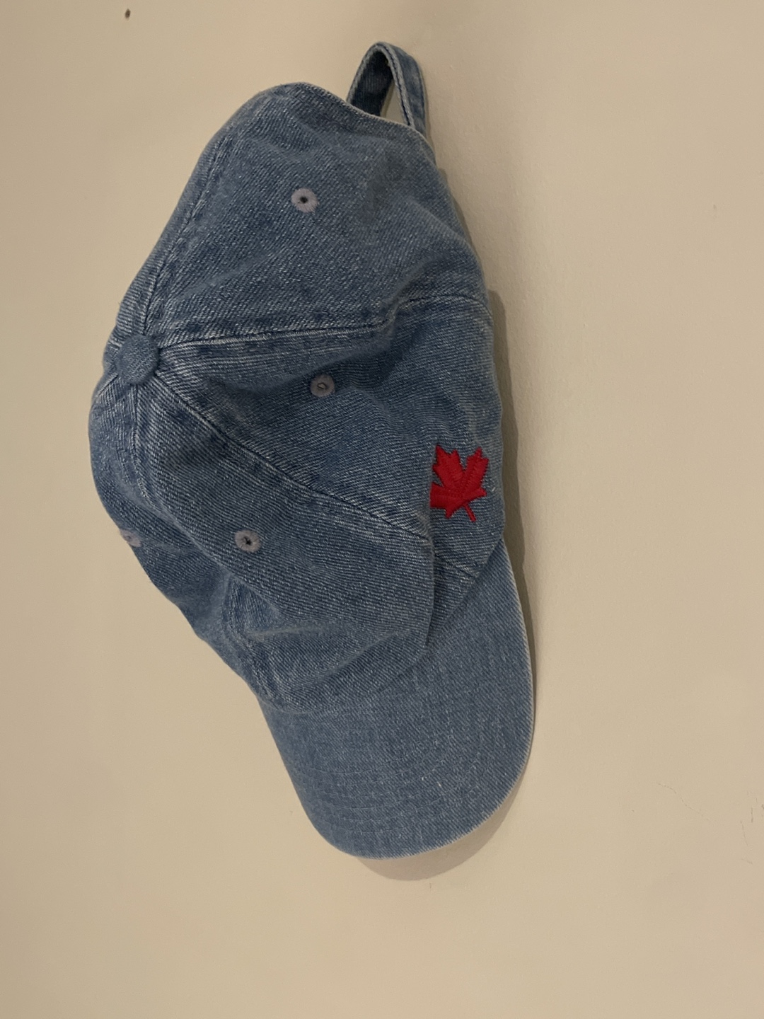 FREE CAP #freecycle thumbnail