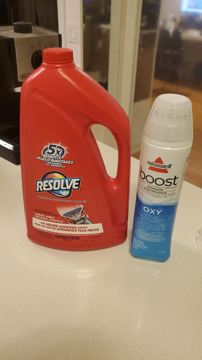 Bissell Carpet Cleaner - photo 2