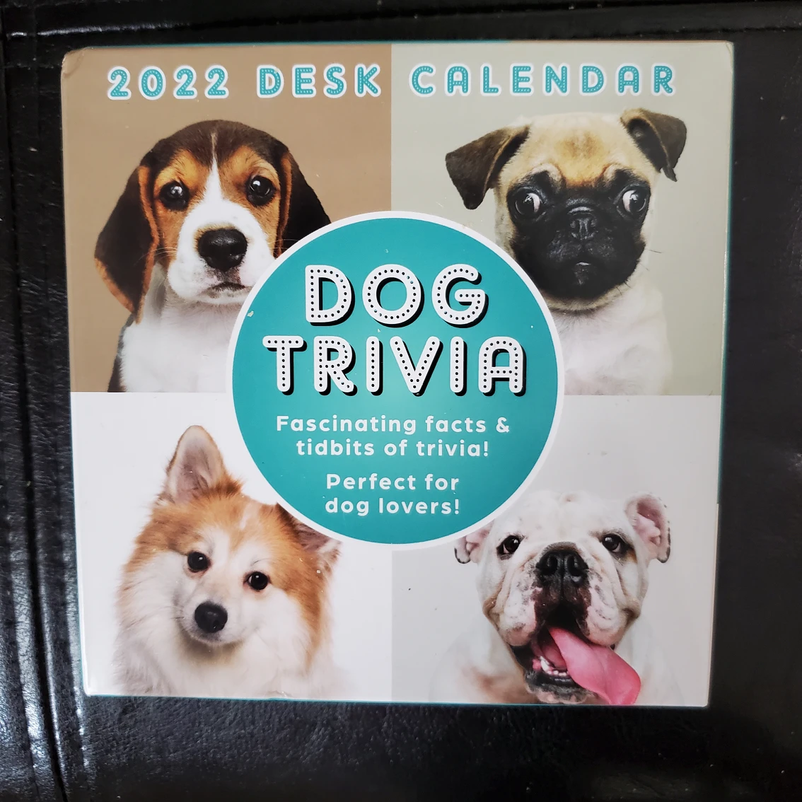 2022 Dog Trivia Desk Calendar #freecycle