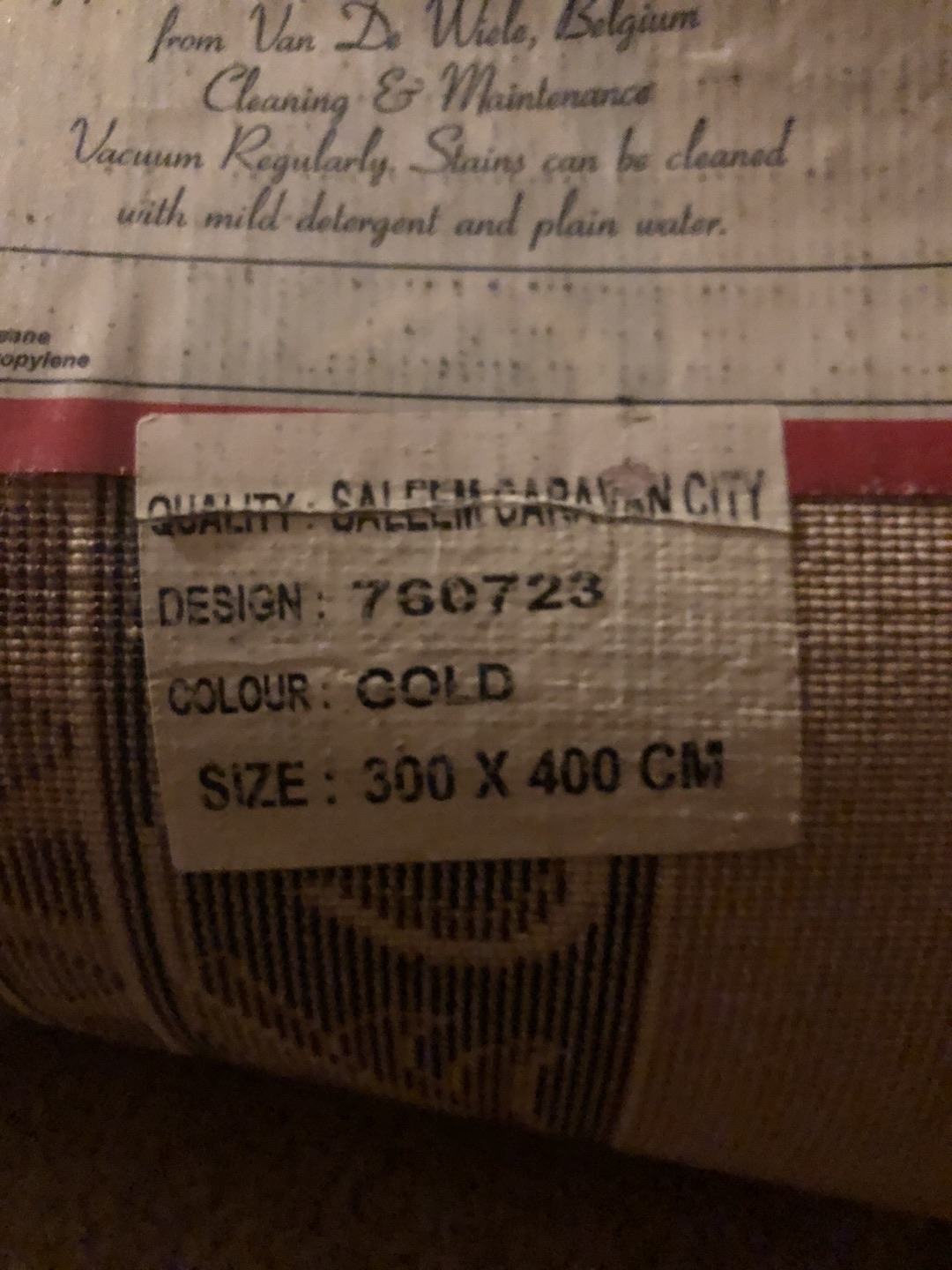 Rug for living or for basement - photo 3