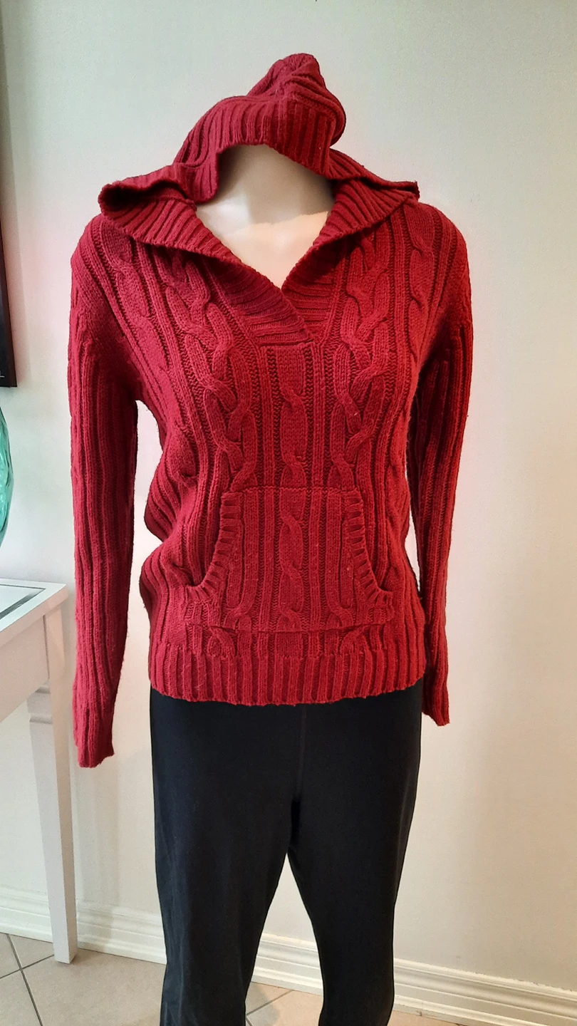 brand new hooded sweater m/l image indicator(2)